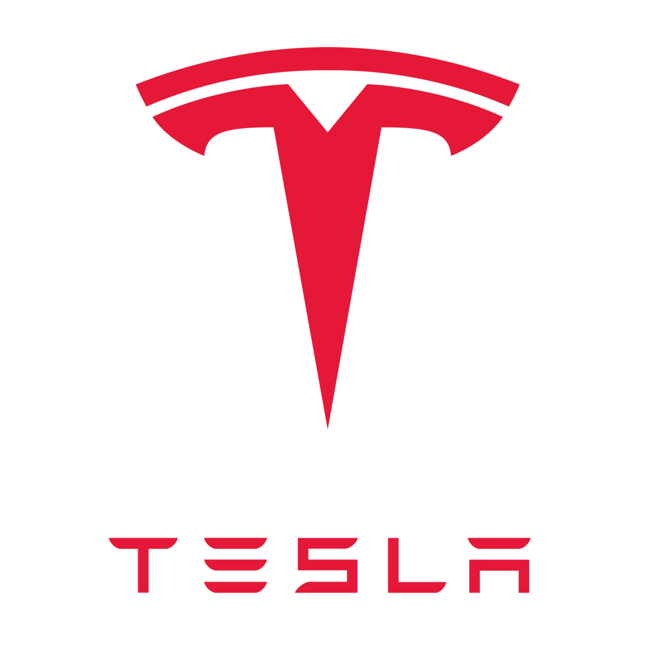 Accessoires Tesla